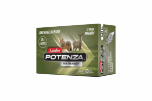 LAMBRO 12 CAL 38 GR POTENZA VARMINT MAGNUM № 8/0